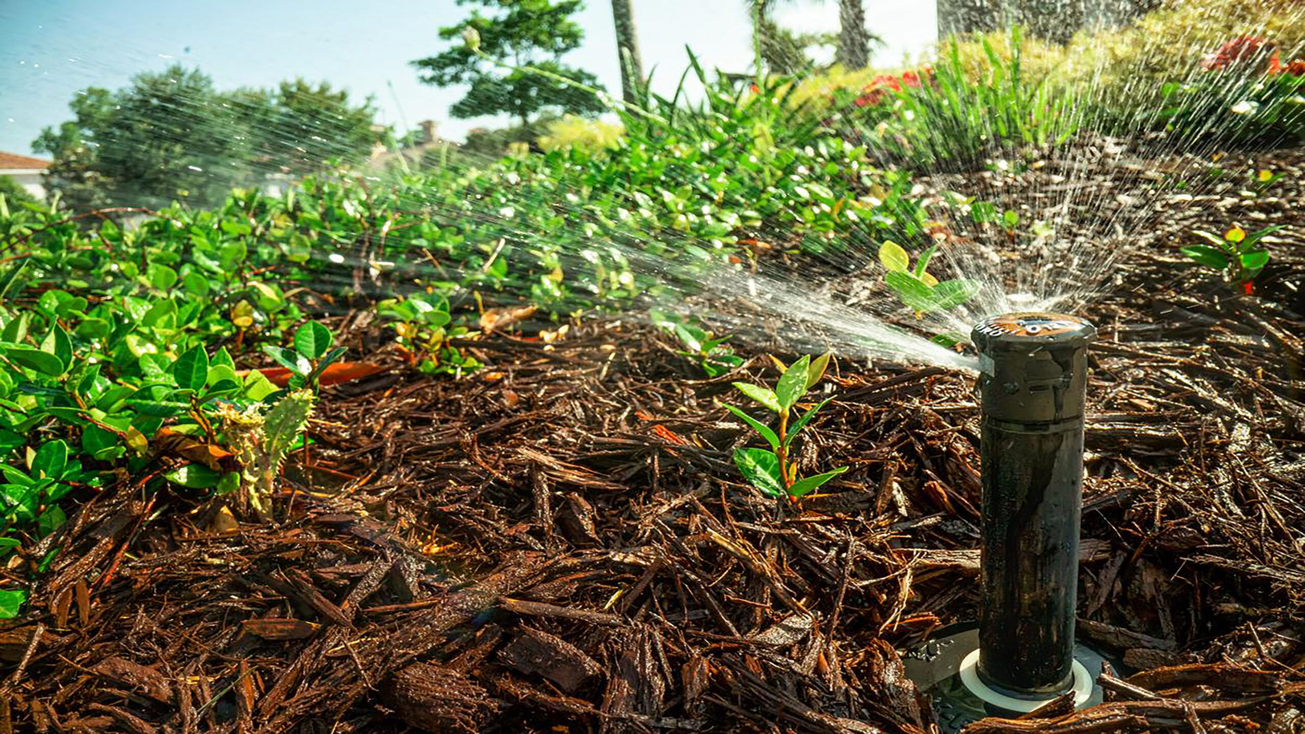 sprinkler repair system