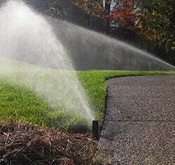 A sprinkler sprays water over a green lawn next to a curved paved pathway on a sunny day.